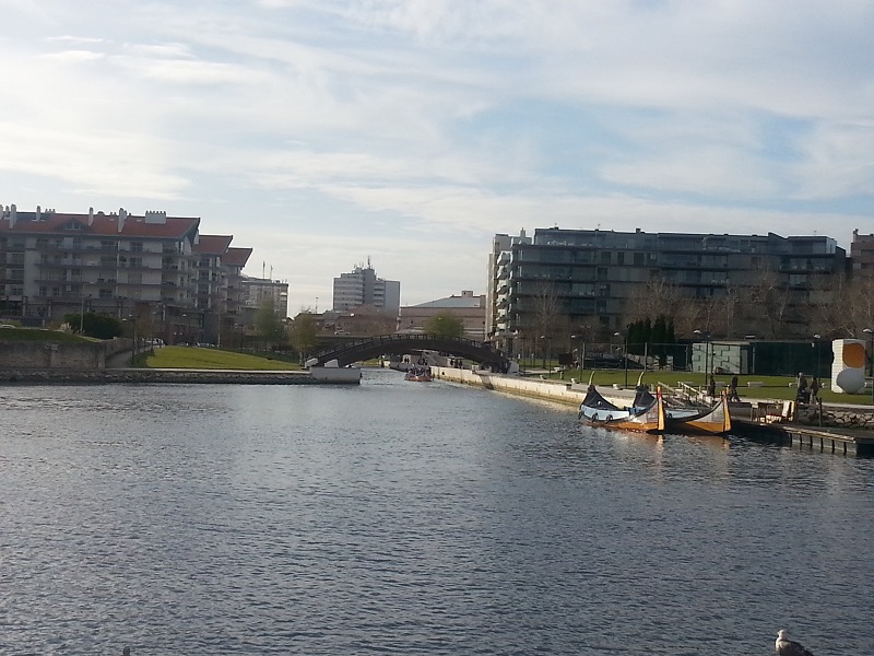 Canal and Portuguese Gondolas in Aveiro