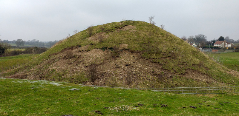 Rabbit holes on the side of Castle Hill